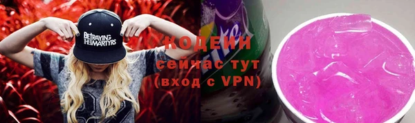 apvp Инта
