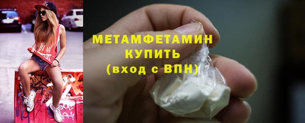 гидра Инсар