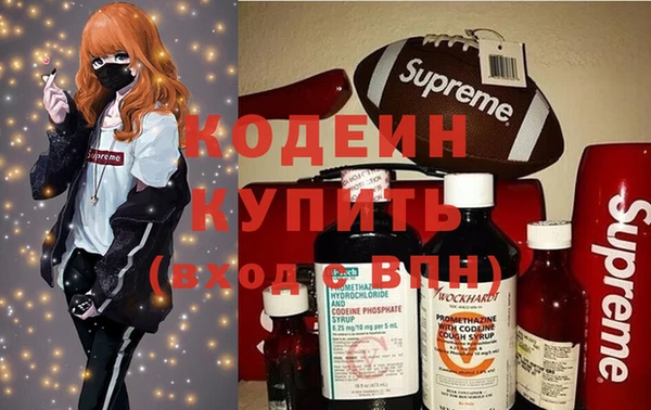 гидра Инсар