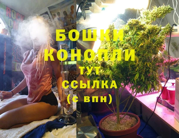 mdpv Иннополис
