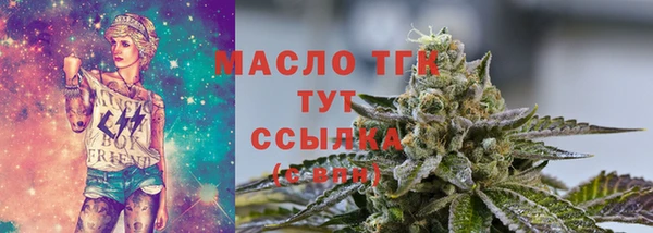 гидра Инсар